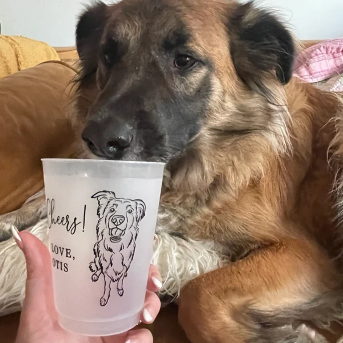 10/50 Personalizowane Kubki Pl – Plastic Cup 50Pcs recenzja i cena